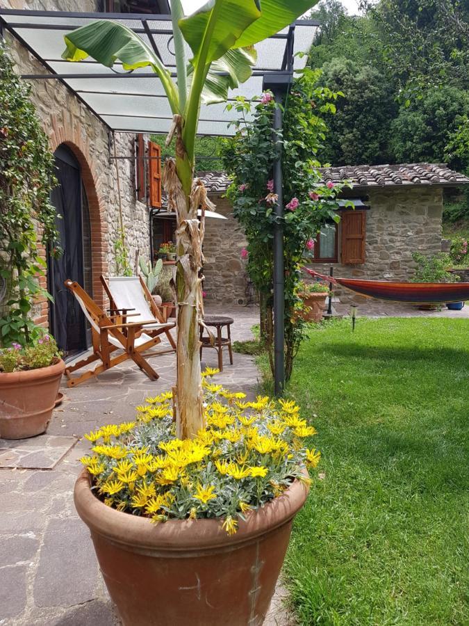 グレーヴェ・イン・キアンティLa Casa Nel Chiantiアパートメント エクステリア 写真