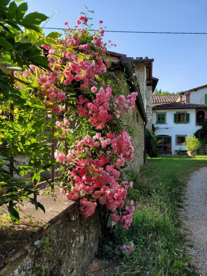 グレーヴェ・イン・キアンティLa Casa Nel Chiantiアパートメント エクステリア 写真