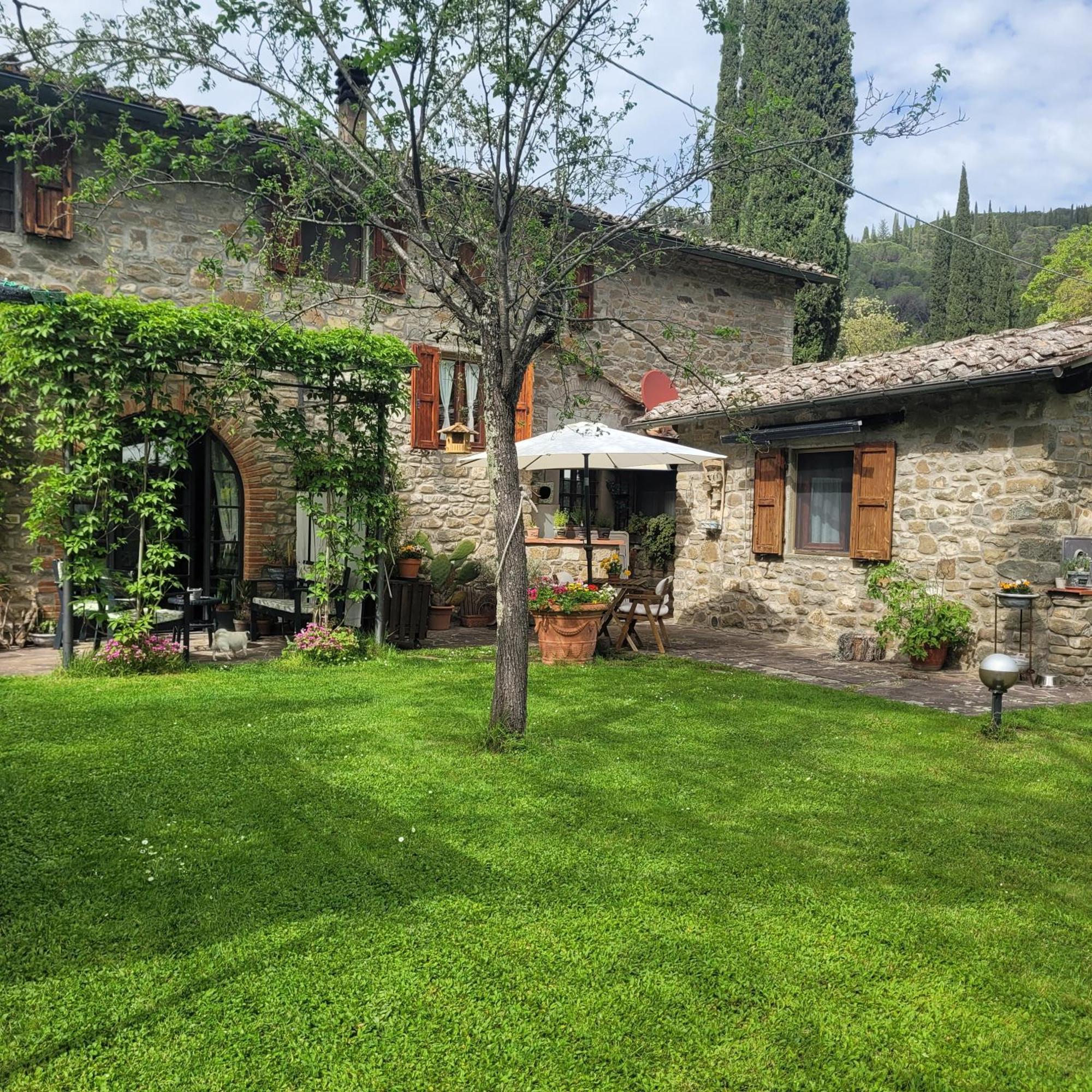 グレーヴェ・イン・キアンティLa Casa Nel Chiantiアパートメント エクステリア 写真